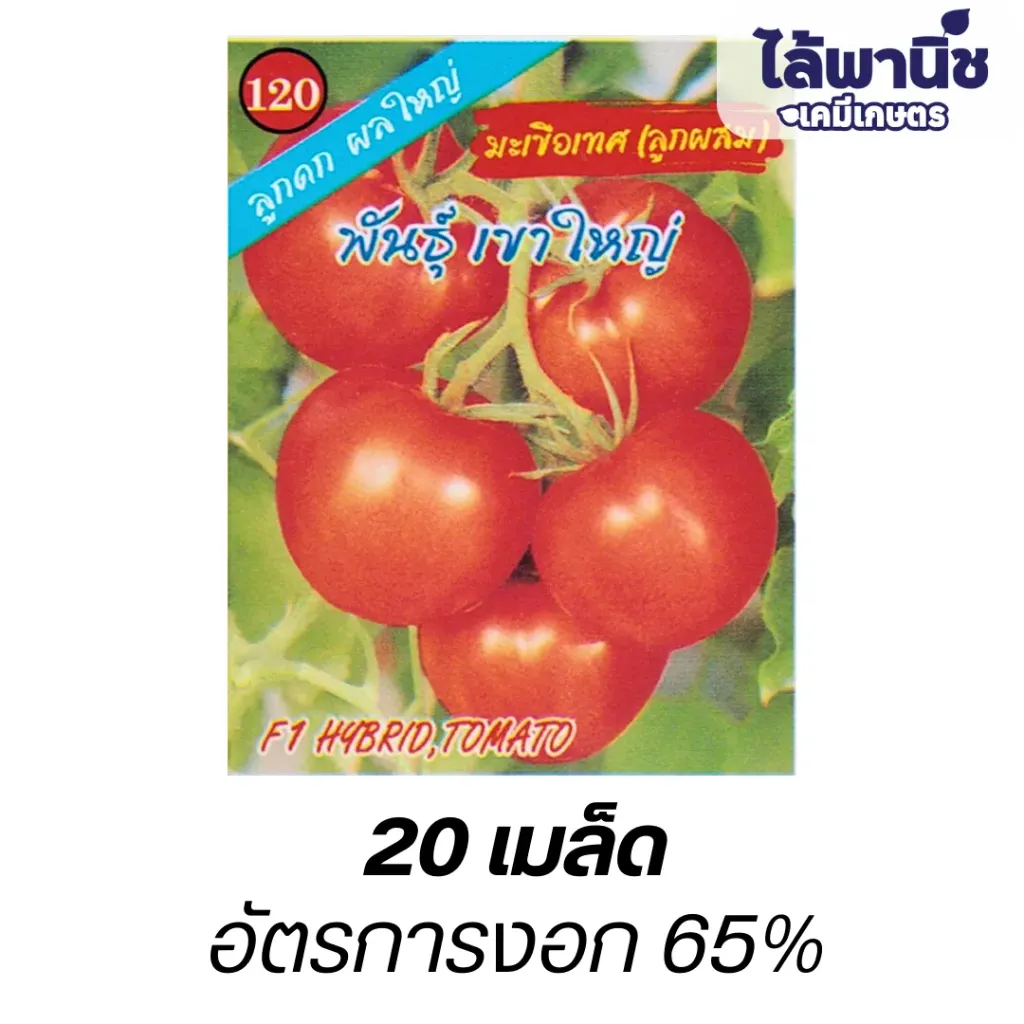 มะเขือเทศลูกผสม (20เม็ด) (ตราตอง3) ซอง