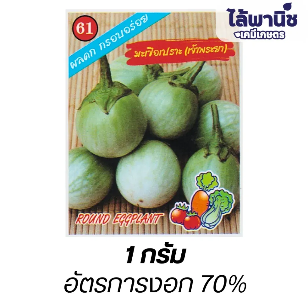 มะเขือเปราะเจ้าพระยา (ตราตอง3) ซอง