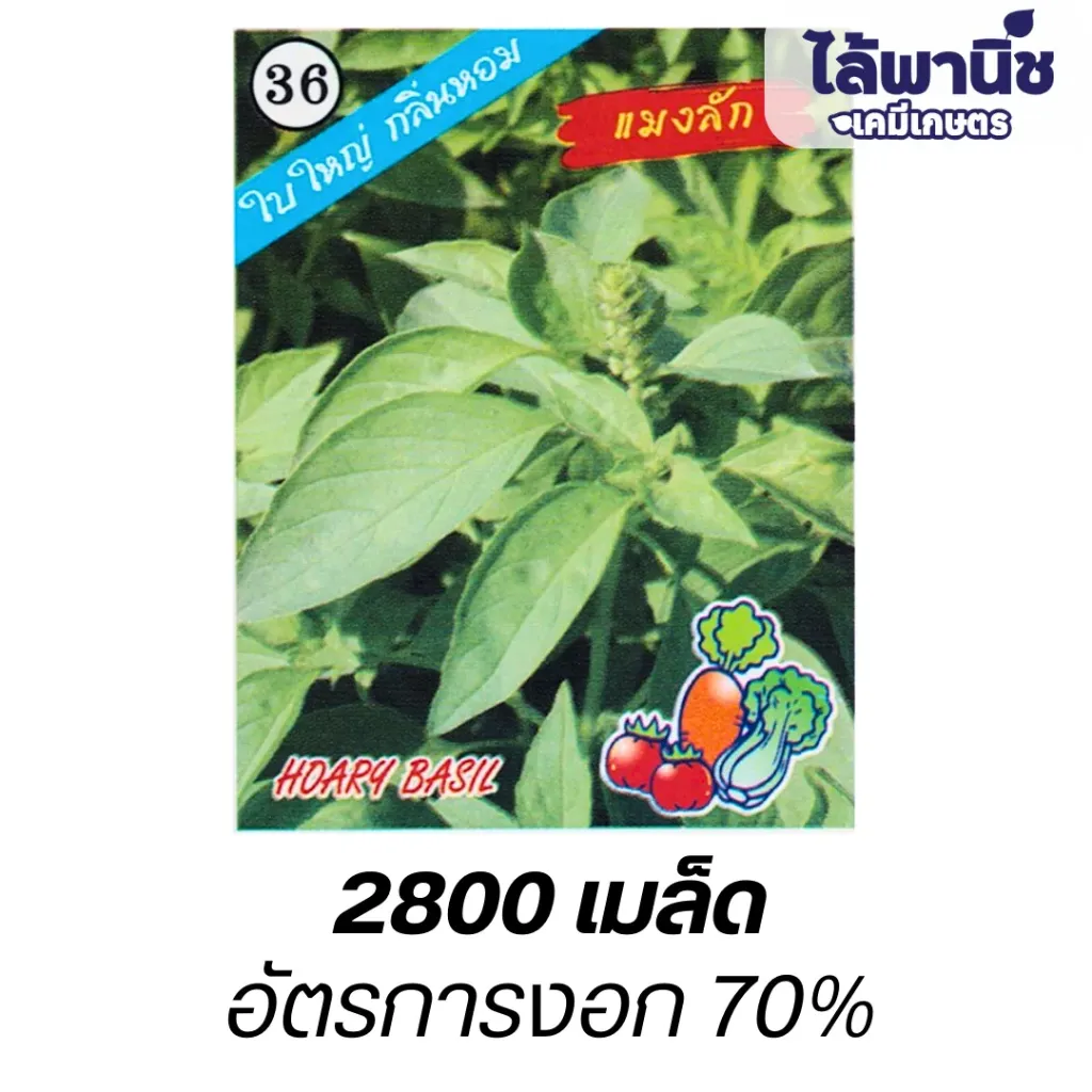 แมงลัก (ตราตอง3) ซอง