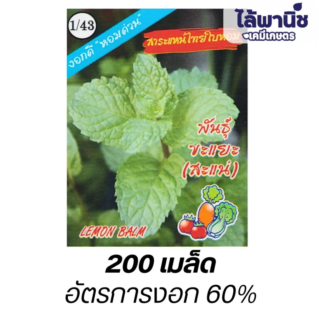 สะระแหน่ไทยใบหอม (ตราตอง3) ซอง