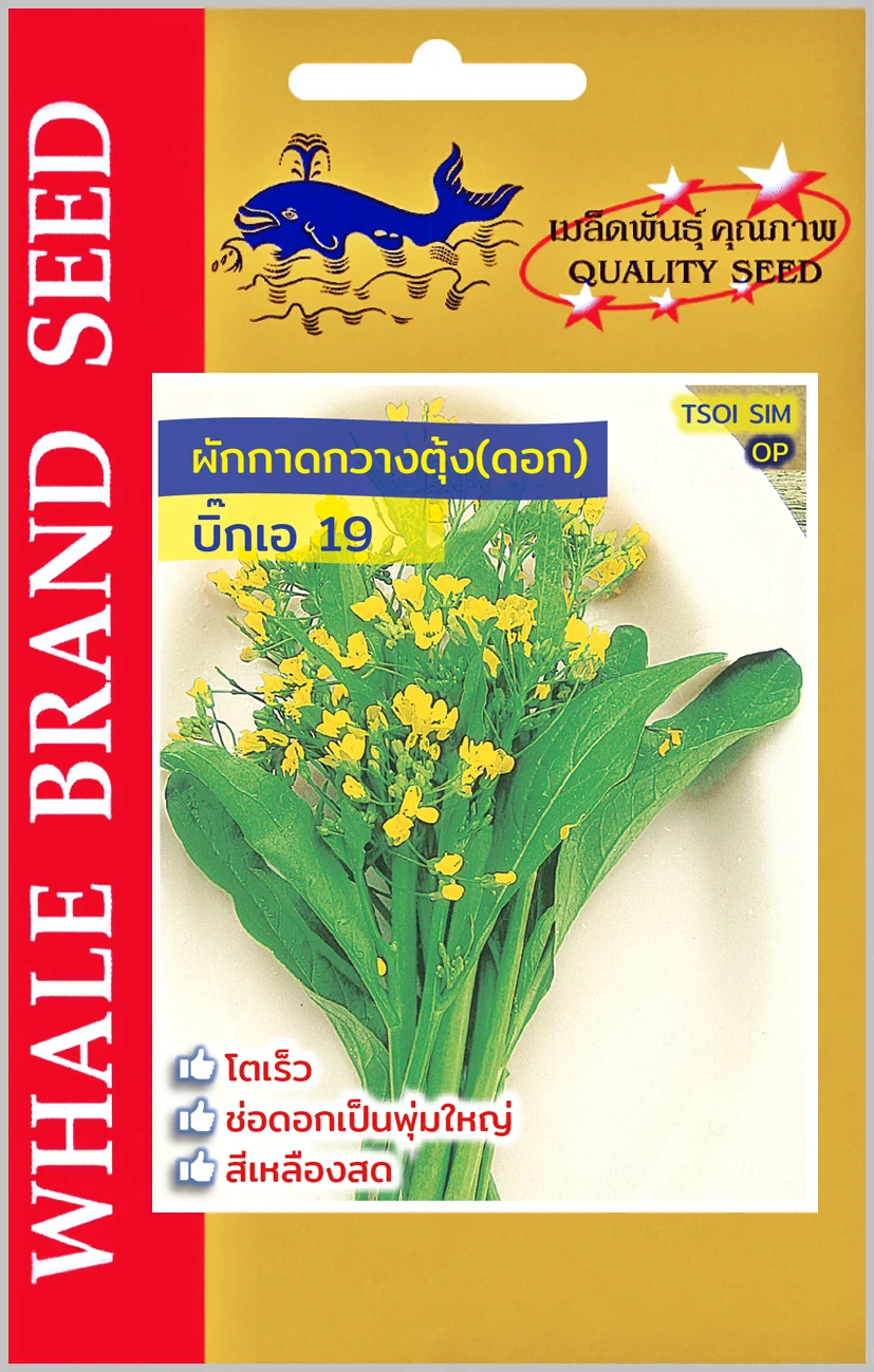 กวางตุ้งดอก BIG-A 19 (ตราปลาวาฬ) ซอง