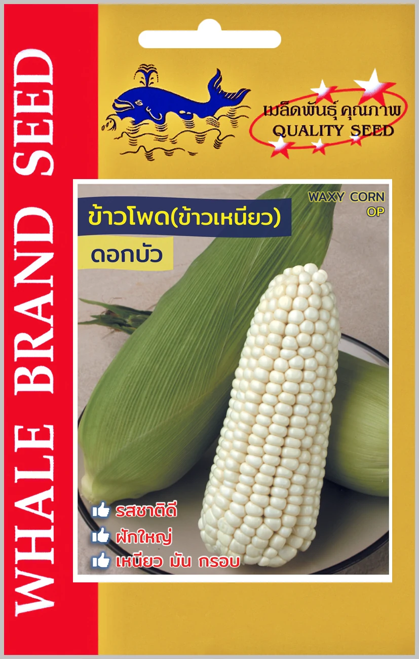 ข้าวโพดข้าวเหนียวพันธุ์ดอกบัว (ตราปลาวาฬ) ซอง