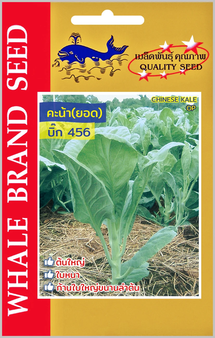 คะน้ายอดบิ๊ก 456 (ตราปลาวาฬ) ซอง