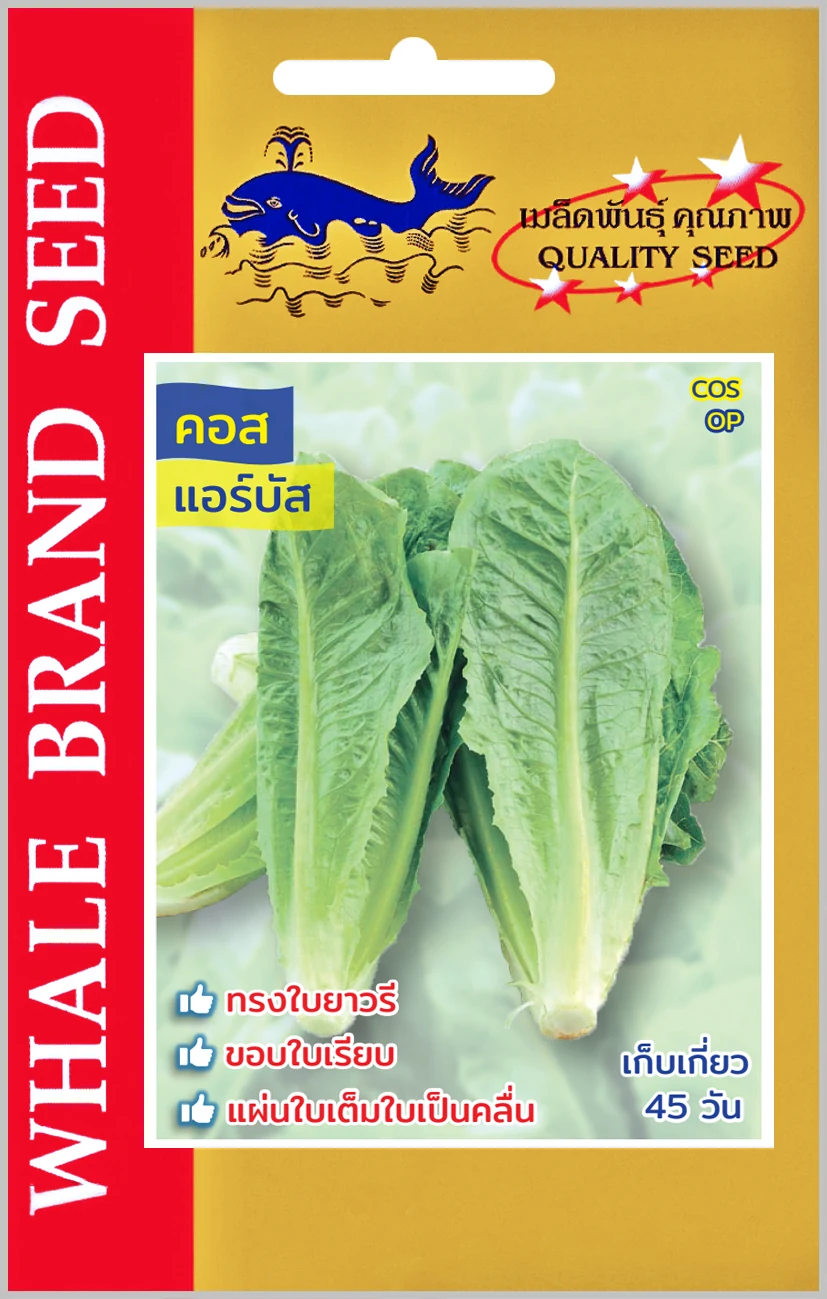 ผักสลัดคอส แอร์บัส (ตราปลาวาฬ) ซอง
