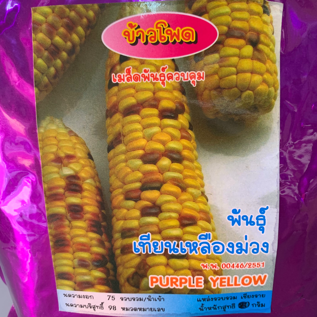 ข้าวโพดเทียน2สี เหลือง-ม่วง+ยา กก. (ตราสิงห์) ถุง