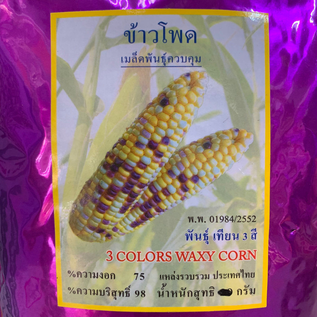 ข้าวโพดเทียน3 สี+ยา (ตราสิงห์) ถุง