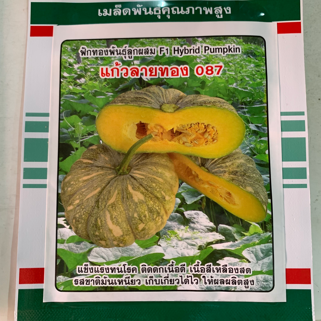 ฟักทองแก้วลายทอง 3ก. (ตราสามดาว) ซอง