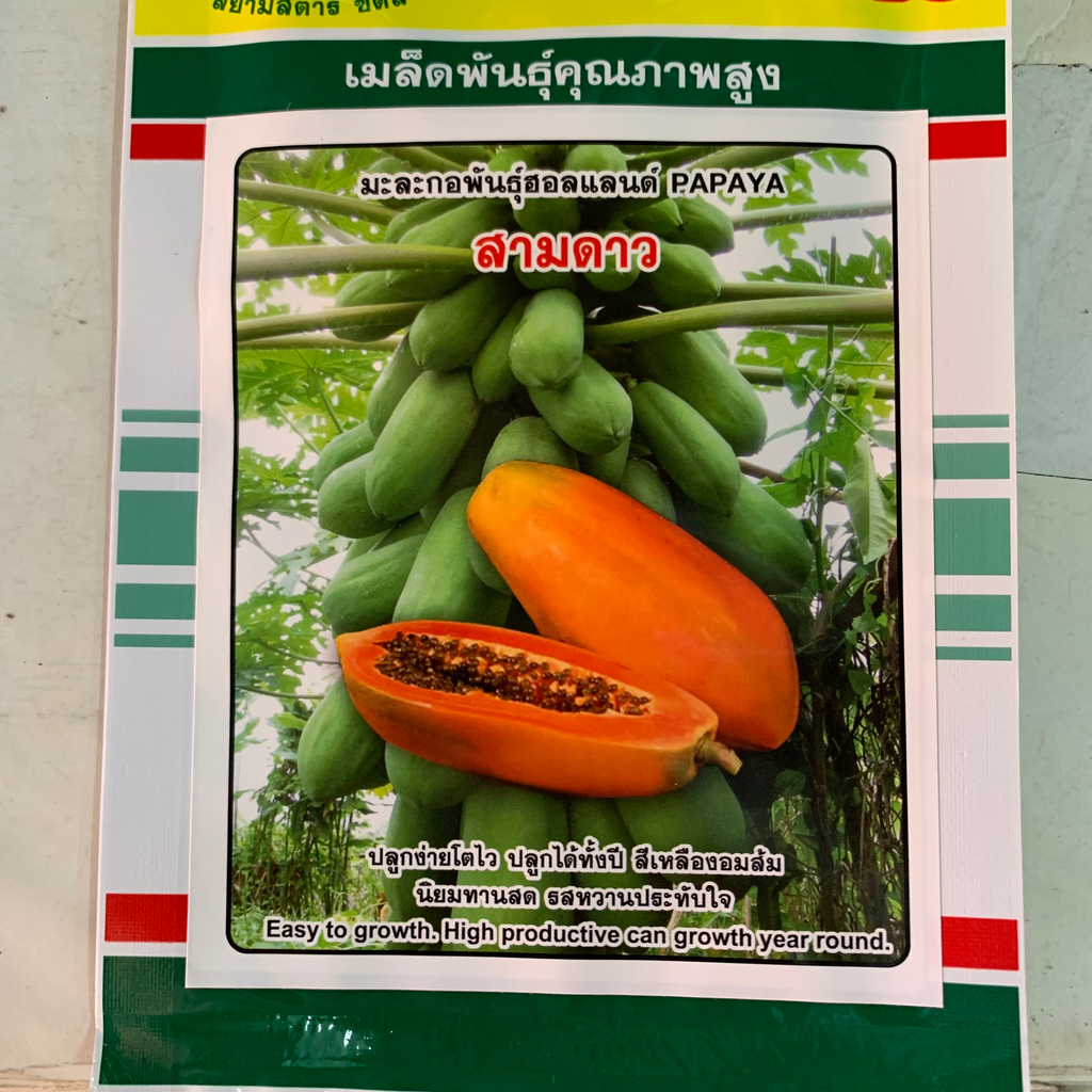มะละกอฮอนแลนด์ 1ก. (ตราสามดาว) ซอง