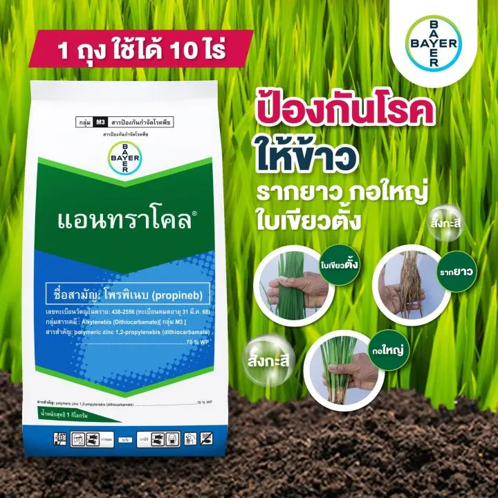 แอนทราโคล ซิ้งค์ 1kg ถุง [โพรพิเนบ] ลัง×12