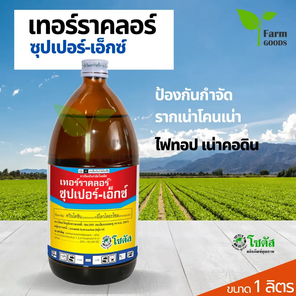 เทอร์ราคลอร์ ซุปเปอร์เอ็กซ์ 500cc ขวด [ควินโตซีน+อีไตรไดอะโซล] ลัง×12