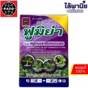 ฟูมิย่า 100g ซอง [ฟลูมิออกซาซิน] ลัง×12กล่อง×5ซอง