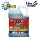 มาคายี 4L [กลูโฟซิเนต] ลัง×3