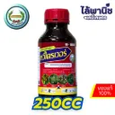หวีไตรเวอร์ 250cc ขวด [ไตรโคลเพอร์ บิวทอกซีเอทิล เอสเทอร์] ลัง×24