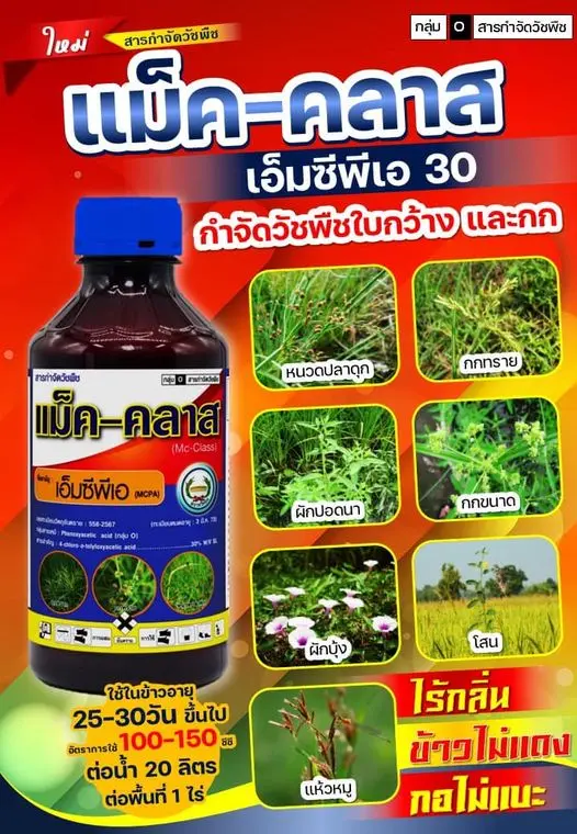 แม็ค-คลาส 1L (หวีทอง) [เอ็มซีพีเอ] ลัง×12