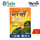 เกาดี้ 5g [ไพราโซซัลฟูรอน-เอทิล] ลัง×12กล่อง×10