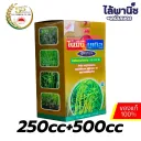 โนมินี่บูเกิ้ล 250cc+500cc กล่อง b6