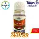 ไรซ์สตาร์ อีซี 69 250cc ขวด [ฟีโนซาพรอป-พี-เอทิล] ลัง×40