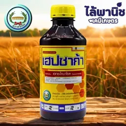 เฮปซาก้า [เฮกซะโคนาโซล]