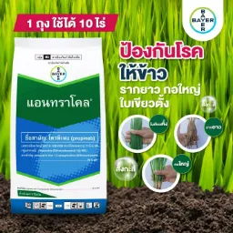 แอนทราโคล ซิ้งค์ [โพรพิเนบ]
